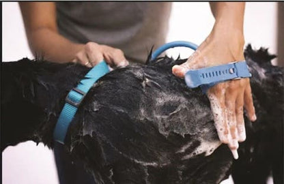 Manguera de Ducha para Mascotas