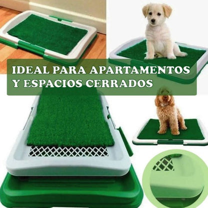 Baño ecologico portatil para perros