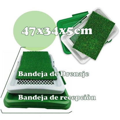 Baño ecologico portatil para perros