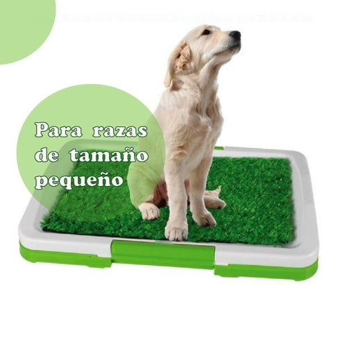 Baño ecologico portatil para perros